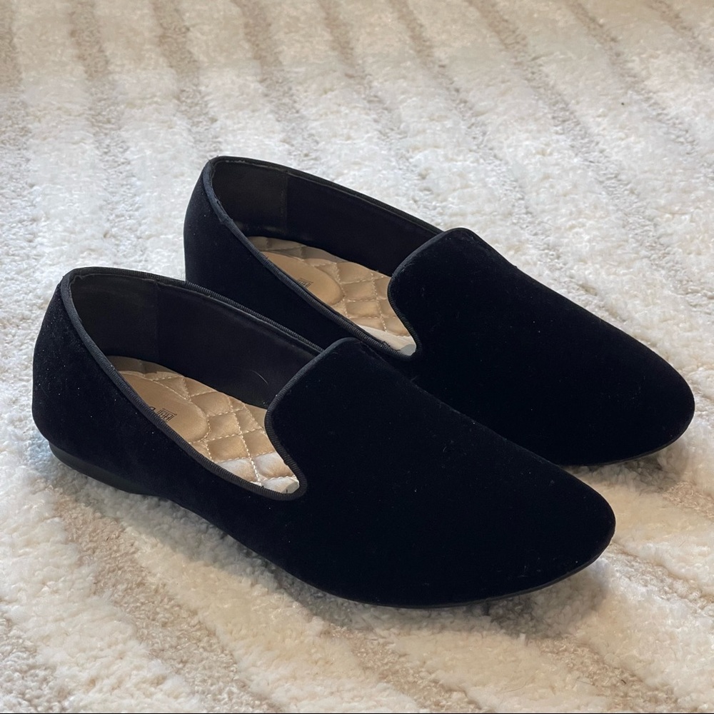 The Starling in Black Velvet by Birdies